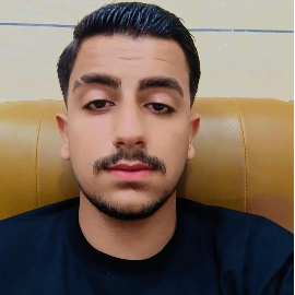 سید امیر هاشمی